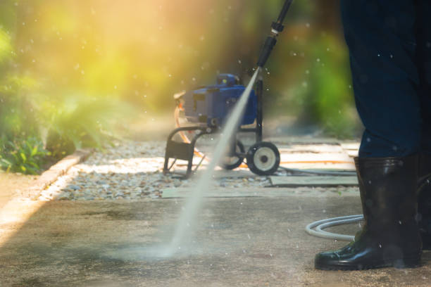 Animal Enclosure Cleaning in Stanton, MI